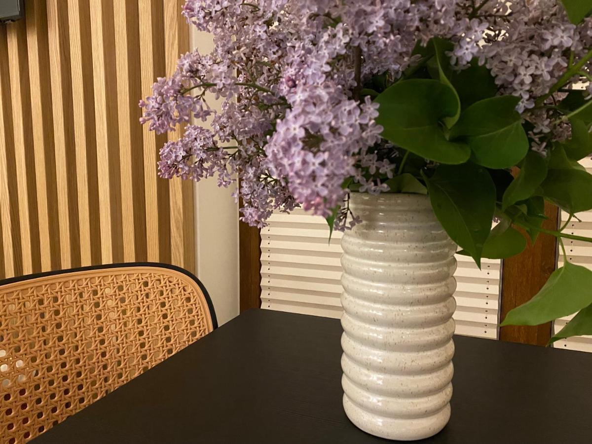 Apartament Carmel Stegna Park Dış mekan fotoğraf